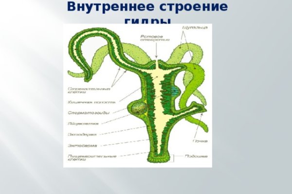 Кракен ссылка москва