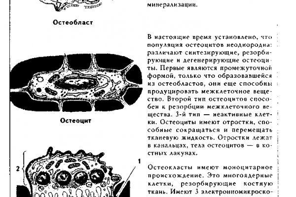 Оригинальная ссылка кракен браузера